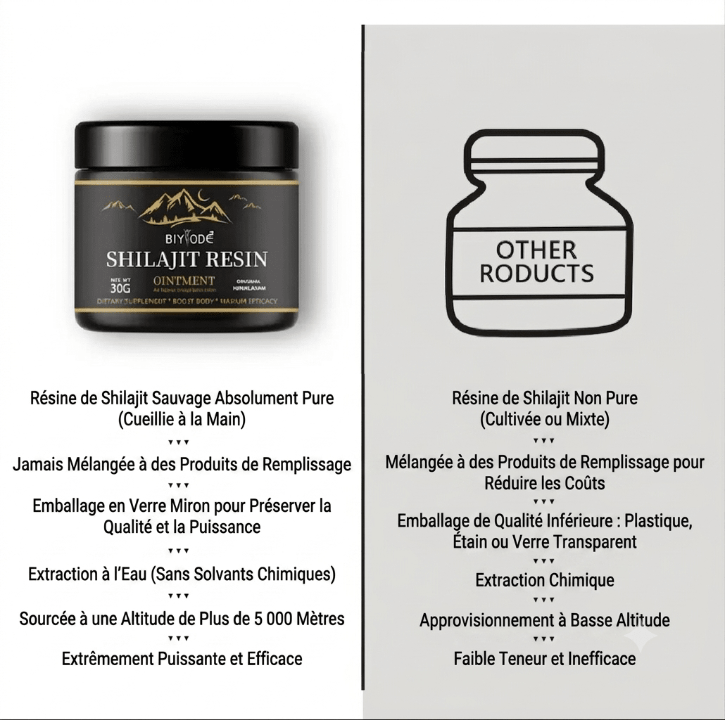Shilajit 100% Pur 💎 Source d'Énergie Vitale de l'Himalaya